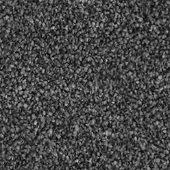 Invictus Darius 99 Sesame Carpet