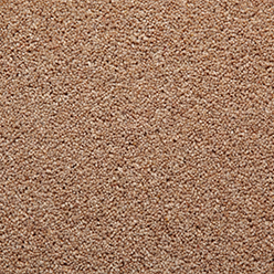 HOMELAND TWIST HARVEST Premium Carpet