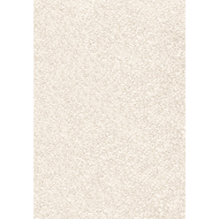 Invictus Magnificus 03 Cream Carpet