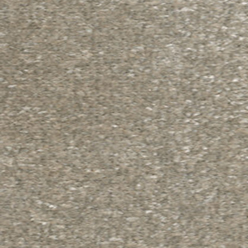 Jamboree 261 Winters Gate Carpet