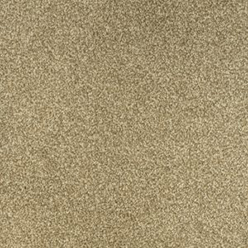 JUBILANT 406 Biscuit Carpet