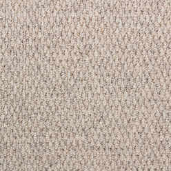 LITTLEBOURNE 60 Cream Carpet