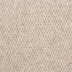 LITTLEBOURNE 60 Cream Carpet