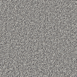KINGSTON CLASSIC SILVER BIRCH Carpet