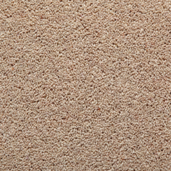 HOMELAND TWIST MUSHROOM Premium Carpet