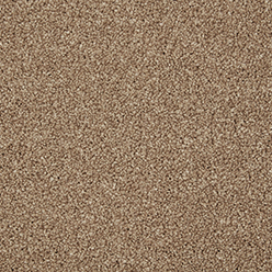 INGLEWOOD SAXONY Beechwood Carpet