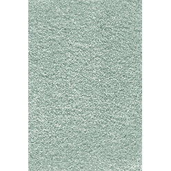 INVICTUS TIBERIUS 20 Eucalyptus Leaf Carpet