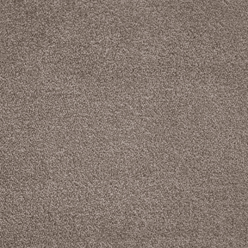 Invictus Severus 40 Pale Birch Carpet