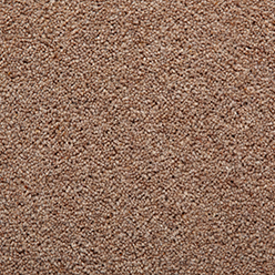 HOMELAND TWIST OAK Premium Carpet
