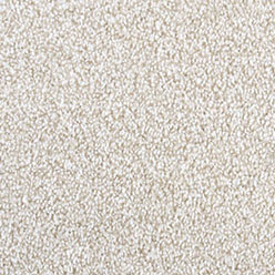 Jamboree 301 Ivory Carpet