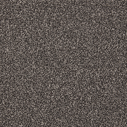 INGLEWOOD SAXONY Carbon Carpet