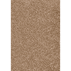 Invictus Magnificus 40 Latte Carpet