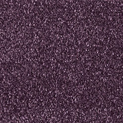 Jamboree 310 Plum Carpet