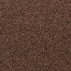 HOMELAND TWIST TEAK Premium Carpet