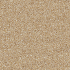 KINGSTON ELITE HAYSEED Carpet