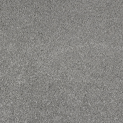 Invictus Magnificus 97 Pewter Carpet