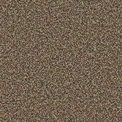 KINGSTON ELITE MOCHA Carpet