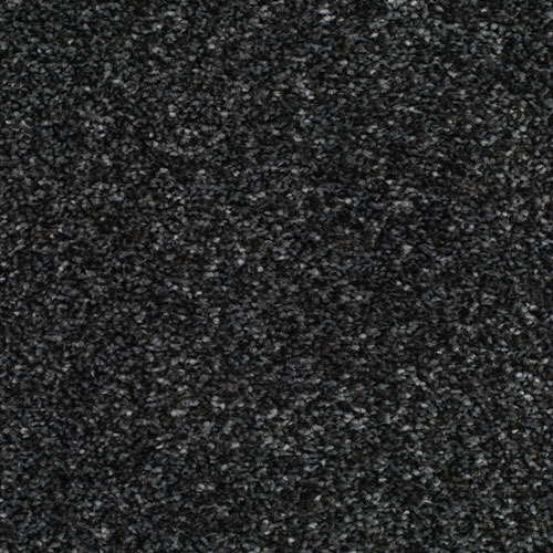 HOMELY Contented Carpet