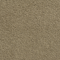 Highfields 113 Taupe Carpet