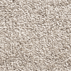 LYON 172 Carpet