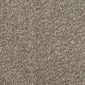 HOMELY Delightful Carpet