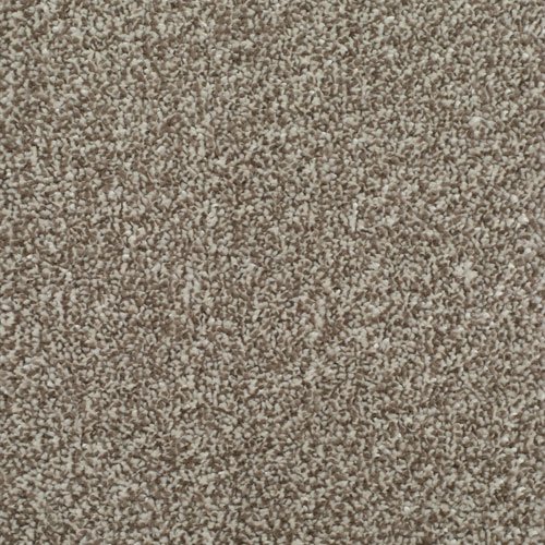 HOMELY Delightful Carpet