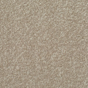 HOMELY Mellow Carpet