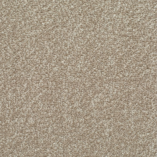 HOMELY Mellow Carpet