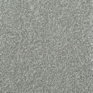 HOMELY Quiet Carpet