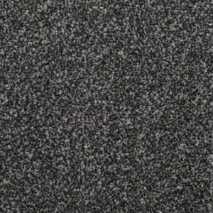 HOMELY Relaxed Carpet