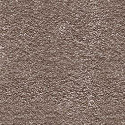 Invictus Orion 45 Den Carpet