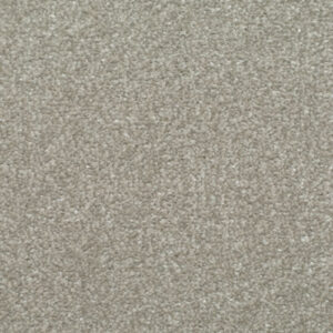 HOMELY Restful Carpet