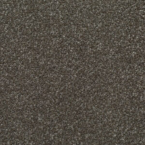 HOMELY Serene Carpet