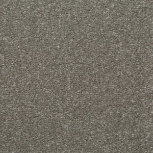 HOMELY Snug Carpet