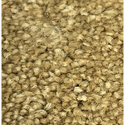 LAGUNA GOLD Carpet