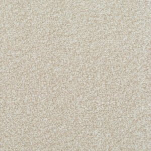 HOMELY Soothing Carpet