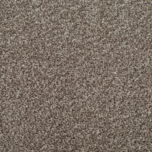 HOMELY Tranquil Carpet