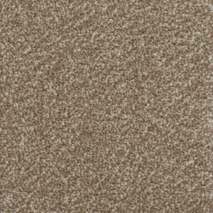 HOMELY Welcoming Carpet