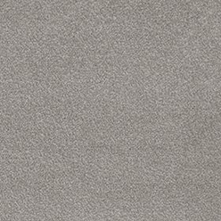 Invictus Septimus 39 Perfect Taupe Carpet