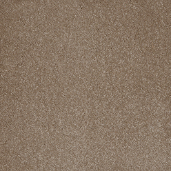 Invictus Aries 39 Fudge Carpet