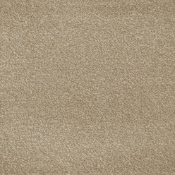 Invictus Severus 36 High Line Carpet