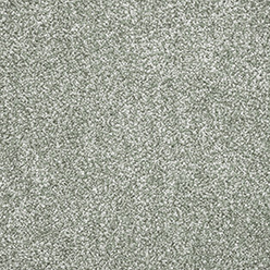 IGNIS 20 Spring Carpet