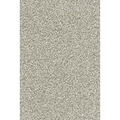 Invictus Cassius 20 Fern Carpet