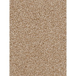 Invictus Cassius 33 Temple Carpet
