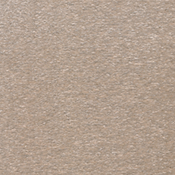 LAZIO PLAINS PARCHMENT 71 SB Carpet