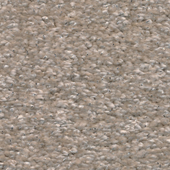 Invictus Centaurus Vanilla 33 Carpet