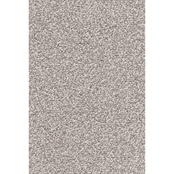 Invictus Cassius 94 Duante Carpet