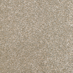 IMPRESSION SAXONY 302 Beige Carpet