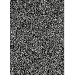 Invictus Cassius 99 Sesame Carpet
