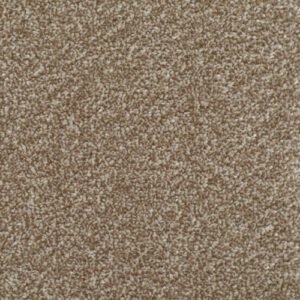 Homely Welcoming Carpet  Soft & Durable
